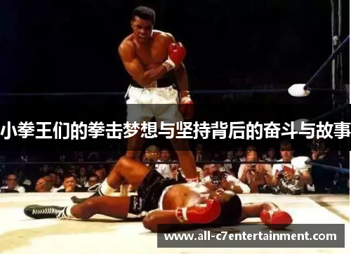 小拳王们的拳击梦想与坚持背后的奋斗与故事 小拳王们的拳击梦想与坚持背后的奋斗与故事