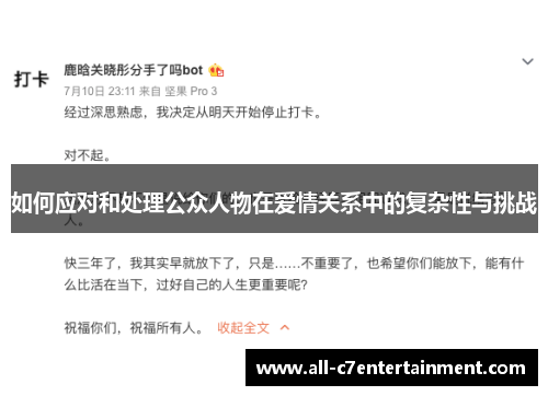 如何应对和处理公众人物在爱情关系中的复杂性与挑战