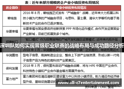 深圳队如何实现晋级职业联赛的战略布局与成功路径分析