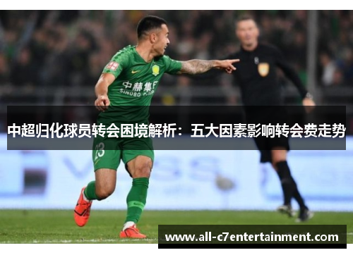 中超归化球员转会困境解析：五大因素影响转会费走势