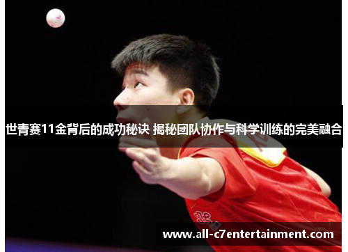 世青赛11金背后的成功秘诀 揭秘团队协作与科学训练的完美融合