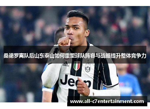 桑德罗离队后山东泰山如何重塑球队阵容与战略提升整体竞争力