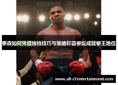 泰森如何凭借独特技巧与策略称霸拳坛成就拳王地位