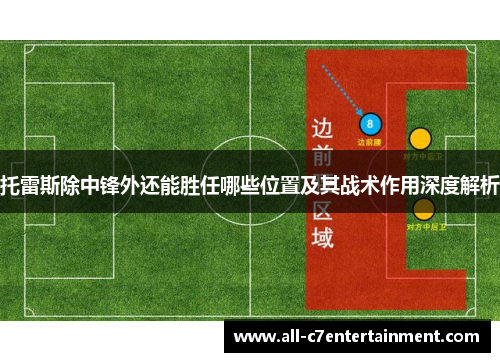 托雷斯除中锋外还能胜任哪些位置及其战术作用深度解析