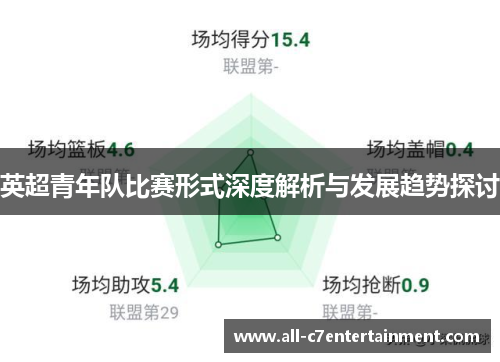 英超青年队比赛形式深度解析与发展趋势探讨 英超青年队比赛形式深度解析与发展趋势探讨