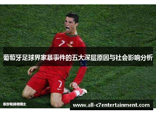 葡萄牙足球界家暴事件的五大深层原因与社会影响分析