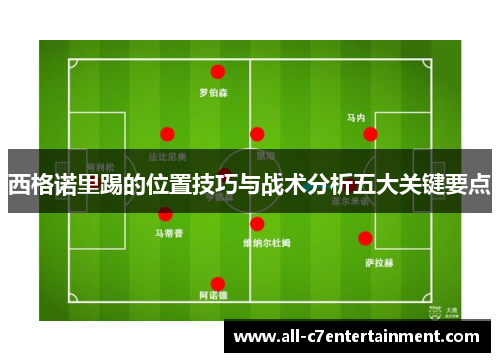 西格诺里踢的位置技巧与战术分析五大关键要点
