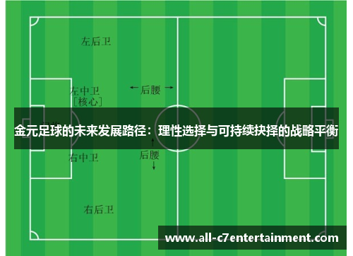 金元足球的未来发展路径：理性选择与可持续抉择的战略平衡