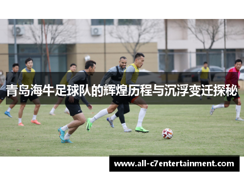 青岛海牛足球队的辉煌历程与沉浮变迁探秘