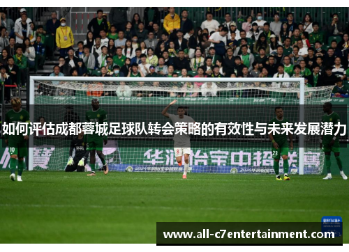 如何评估成都蓉城足球队转会策略的有效性与未来发展潜力