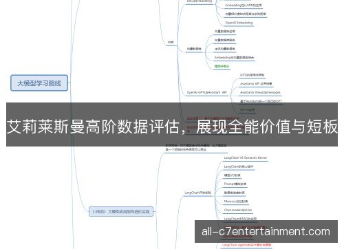 艾莉莱斯曼高阶数据评估,展现全能价值与短板 艾莉莱斯曼高阶数据评估,展现全能价值与短板